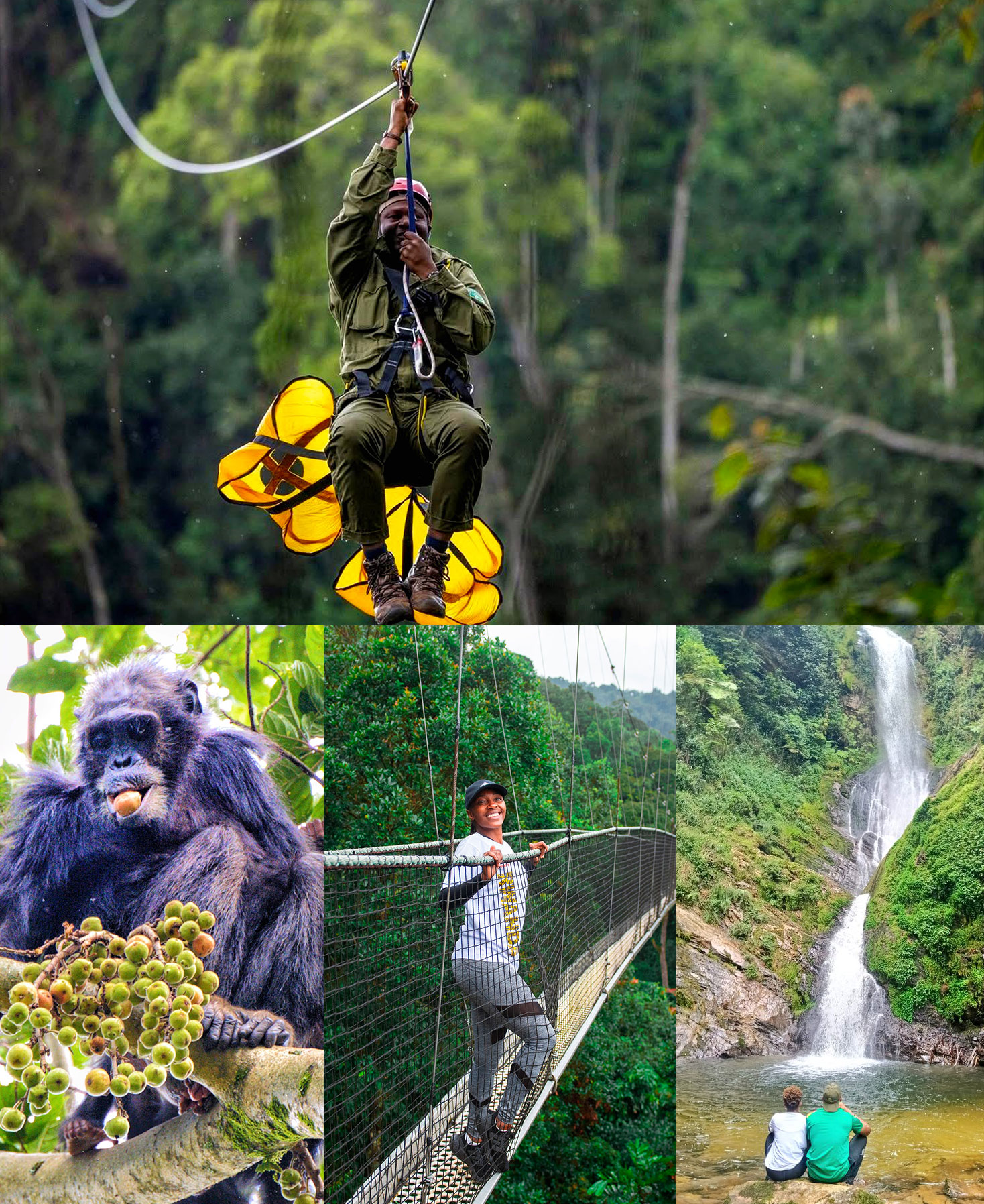 Nyungwe Forest National Park Rwanda